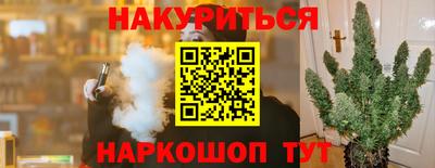 эйфоретик Краснодар