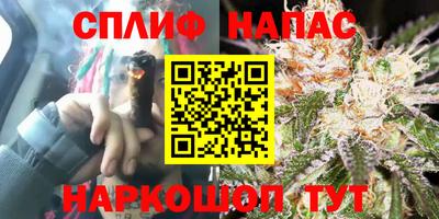 эйфоретик Краснодар